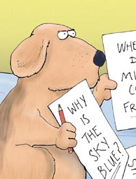 Dog Seeks Revenge